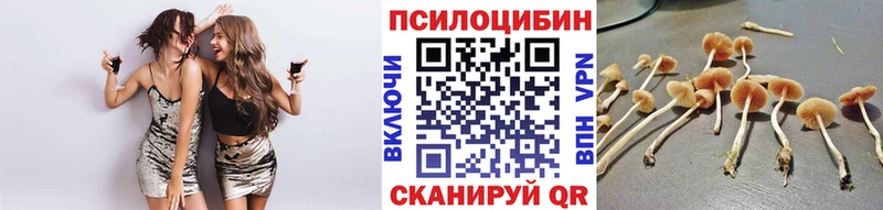 купить  цена  Бодайбо  Галлюциногенные грибы ЛСД 